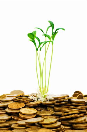 simsearch:400-04370317,k - Green seedling growing from the pile of coins Stock Photo - Budget Royalty-Free & Subscription, Code: 400-04796841