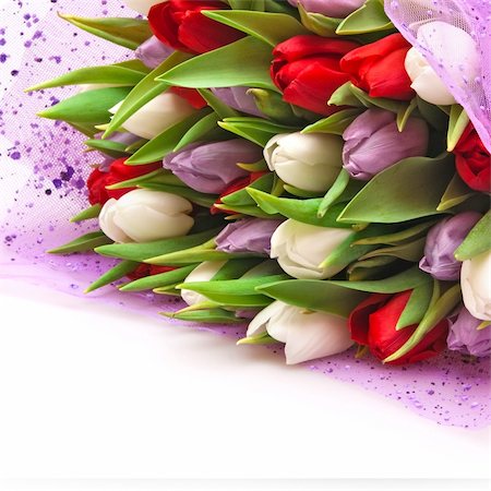 simsearch:400-04340566,k - beau bouquet de tulipes isolé sur fond blanc Photographie de stock - Aubaine LD & Abonnement, Code: 400-04796897