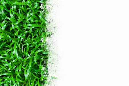 simsearch:400-08775485,k - Green grass Stock Photo - Budget Royalty-Free & Subscription, Code: 400-04797507