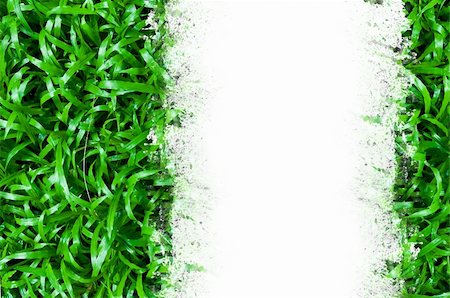 simsearch:400-08775485,k - Green grass Stock Photo - Budget Royalty-Free & Subscription, Code: 400-04797503