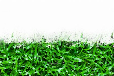 simsearch:400-08775485,k - Green grass Stock Photo - Budget Royalty-Free & Subscription, Code: 400-04797510