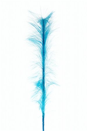 simsearch:400-05384812,k - Blue decoration from feathers, photo on the white background Foto de stock - Royalty-Free Super Valor e Assinatura, Número: 400-04798147