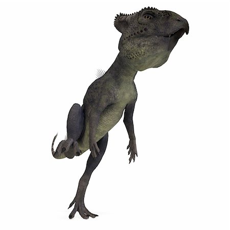 Dinosaur Archaeoceratops. 3D rendering with clipping path and shadow over white Stock Photo - Budget Royalty-Free & Subscription, Code: 400-04798565