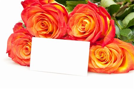 roses with empty card Stock Photo - Budget Royalty-Free & Subscription, Code: 400-04798611