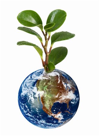 3d Earth planet with plant on white background. Stock Photo - Budget Royalty-Free & Subscription, Code: 400-04799134