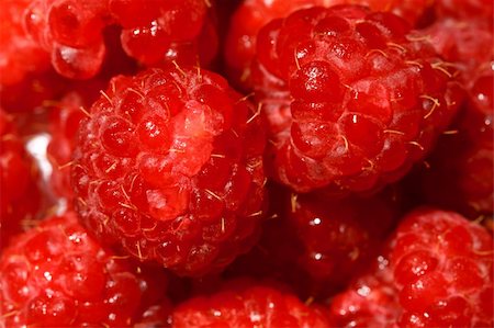 simsearch:400-04287445,k - red wild raspberry macro close up Stockbilder - Microstock & Abonnement, Bildnummer: 400-04790609