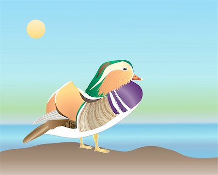 an illustration of a male mandarin duck standing by water under a blue sky Foto de stock - Super Valor sin royalties y Suscripción, Código: 400-04790657