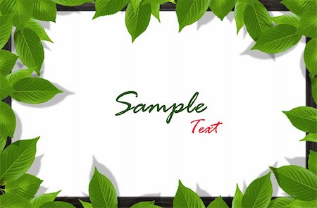 simsearch:400-06068038,k - Green leaves on white background Stock Photo - Budget Royalty-Free & Subscription, Code: 400-04790773