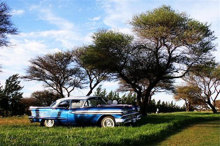 restoring cars - blue and white vintage car parked under acacia trees Stock Photo - Budget Royalty-Free & Subscription, Code: 400-04790996