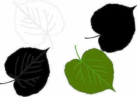 leaf silhouette - vector Stock Photo - Budget Royalty-Free & Subscription, Code: 400-04792221