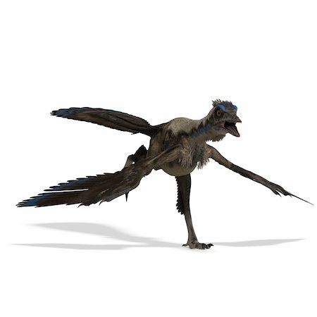 simsearch:400-04793730,k - Dinosaur Archaeopteryx. 3D rendering with clipping path and shadow over white Foto de stock - Royalty-Free Super Valor e Assinatura, Número: 400-04792570