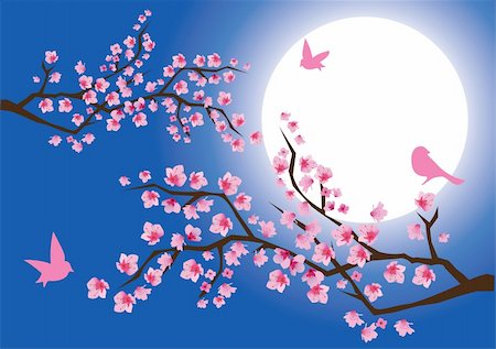 simsearch:400-04778102,k - vector illustration of cherry blossom with birds and moon at the background Fotografie stock - Microstock e Abbonamento, Codice: 400-04793195