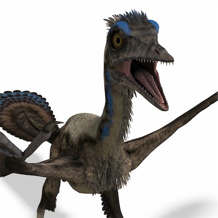 simsearch:400-04793730,k - Dinosaur Archaeopteryx. 3D rendering with clipping path and shadow over white Foto de stock - Royalty-Free Super Valor e Assinatura, Número: 400-04793731