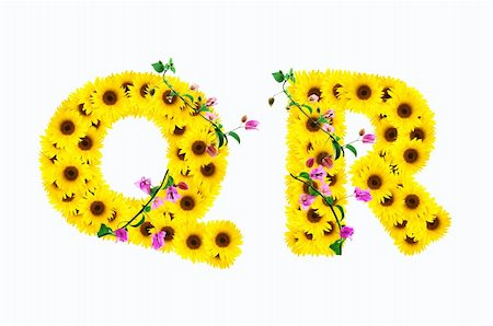 photographic flower font - sunflower numbers isolated on white background Stock Photo - Budget Royalty-Free & Subscription, Code: 400-04804054