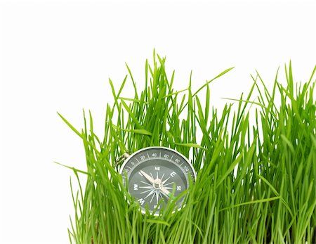 simsearch:400-05316370,k - compass in green grass isolated on white background Stock Photo - Budget Royalty-Free & Subscription, Code: 400-04804089