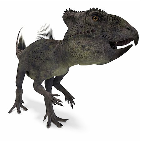 Dinosaur Archaeoceratops. 3D rendering with clipping path and shadow over white Stock Photo - Budget Royalty-Free & Subscription, Code: 400-04804127