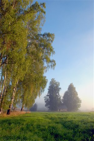 Warm summer morning mist creates a special atmosphere Stock Photo - Budget Royalty-Free & Subscription, Code: 400-04804455