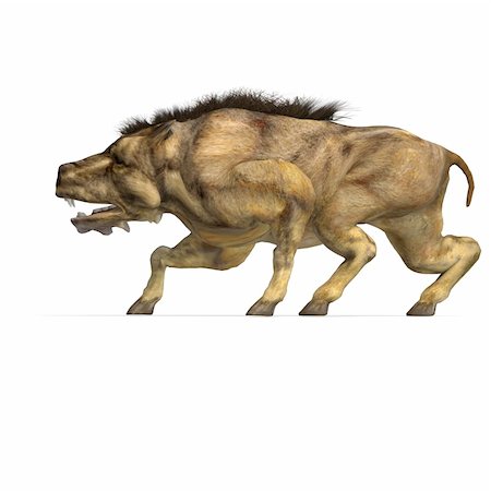 simsearch:400-04818670,k - Dinosaur Daeodon Dinohyus. 3D rendering with clipping path and shadow over white Foto de stock - Royalty-Free Super Valor e Assinatura, Número: 400-04805116
