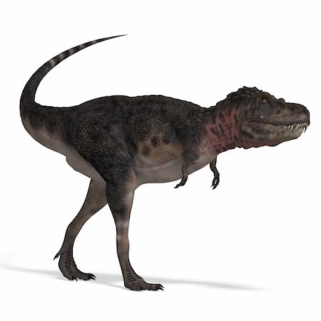 palaeontology - Dinosaur Tarbosaurus. 3D rendering with clipping path and shadow over white Stock Photo - Budget Royalty-Free & Subscription, Code: 400-04805119