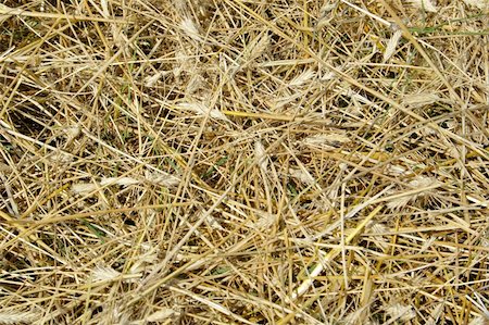 farm stacks hay nobody - view to straw closeup as background Stock Photo - Budget Royalty-Free & Subscription, Code: 400-04806655