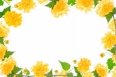 simsearch:400-05287751,k - yellow flower and bloom frame with green leaves Fotografie stock - Microstock e Abbonamento, Codice: 400-04806676