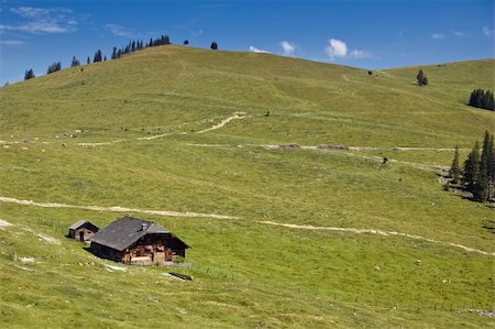 Small wooden Hut in the austrian pasture Stockbilder - Microstock & Abonnement, Bildnummer: 400-04806827