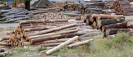 simsearch:400-04882349,k - Logs timber industry trunks stacked outdoor stock Foto de stock - Super Valor sin royalties y Suscripción, Código: 400-04807431