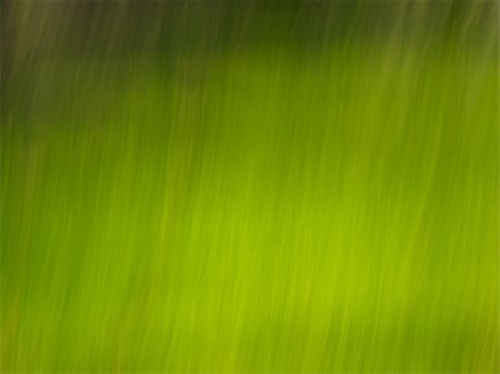 fotopen (artist) - Blur abstract light green lines on dark green background. Foto de stock - Super Valor sin royalties y Suscripción, Código: 400-04807945