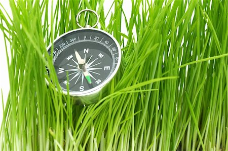 simsearch:400-05362449,k - compass in green grass isolated on white Photographie de stock - Aubaine LD & Abonnement, Code: 400-04807941