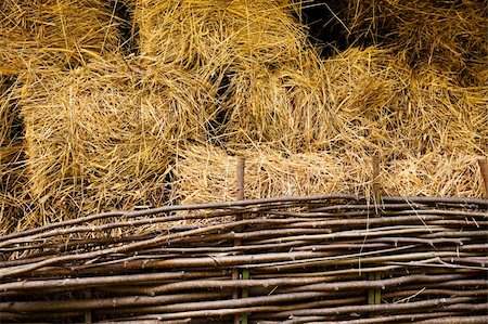 simsearch:400-07717781,k - hay at haylofts close-up as a background Fotografie stock - Microstock e Abbonamento, Codice: 400-04808652