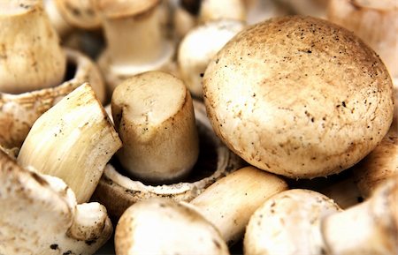 simsearch:400-07430898,k - Fresh mushrooms Photographie de stock - Aubaine LD & Abonnement, Code: 400-04808739