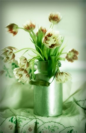 Arrangement of Tulips in old Milk Can Stock Photo - Budget Royalty-Free & Subscription, Code: 400-04809729