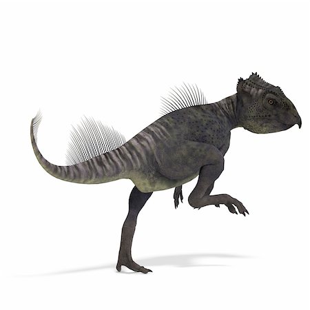 simsearch:400-04818670,k - Dinosaur Archaeoceratops. 3D rendering with clipping path and shadow over white Foto de stock - Royalty-Free Super Valor e Assinatura, Número: 400-04800218