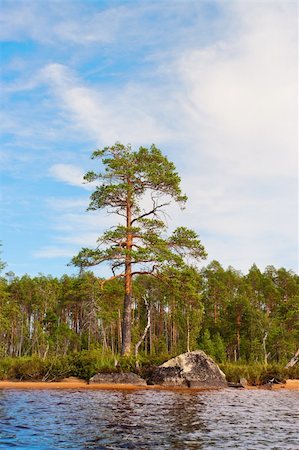 simsearch:400-04750401,k - Lonely pine and the big boulders on sandy coast of lake Foto de stock - Royalty-Free Super Valor e Assinatura, Número: 400-04800762