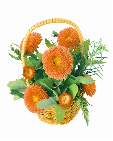 Orange aster flower bouquet isolated on white background Stock Photo - Budget Royalty-Free & Subscription, Code: 400-04801072