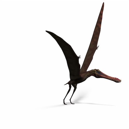 simsearch:400-04818670,k - Dinosaur Anhanguera Pterosaur. 3D rendering with clipping path and shadow over white Foto de stock - Royalty-Free Super Valor e Assinatura, Número: 400-04801097