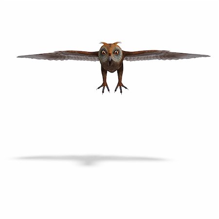 daemon - green-brown owl. 3D rendering with clipping path and shadow over white Stock Photo - Budget Royalty-Free & Subscription, Code: 400-04801100