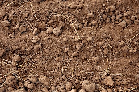 dry earth texture - Brown soil of an agricultural field Stock Photo - Budget Royalty-Free & Subscription, Code: 400-04802126