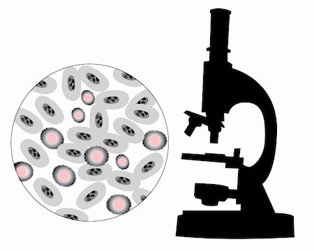 Silhouette of a microscope with the image of bacteria on a white background Photographie de stock - Aubaine LD & Abonnement, Code: 400-04802135