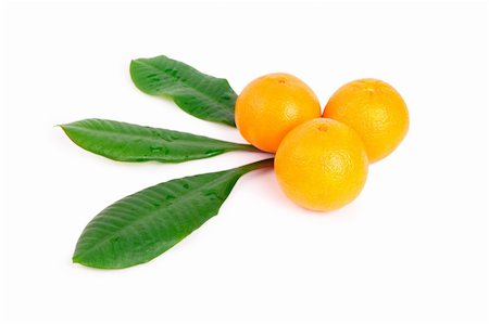 Tangerines isolated on the white background Stock Photo - Budget Royalty-Free & Subscription, Code: 400-04803303