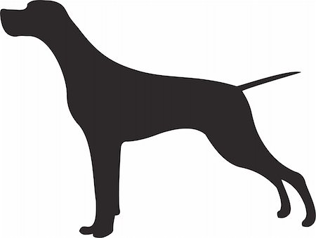 retriever silhouette - Dog silhouette isolated on white background. Vector Stock Photo - Budget Royalty-Free & Subscription, Code: 400-04803524