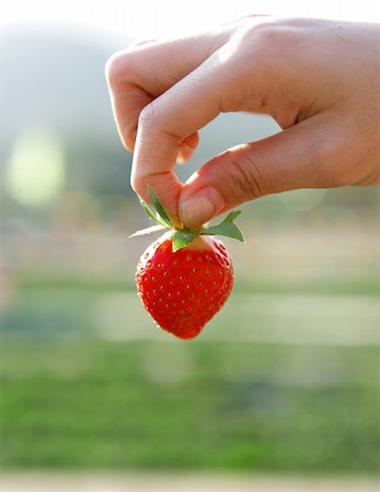 eat mouth closeup - hand pick strawberry Stock Photo - Budget Royalty-Free & Subscription, Code: 400-04803539
