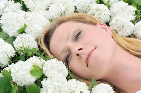 Young woman laying in flowers - snowballs Stock Photo - Budget Royalty-Free & Subscription, Code: 400-04803531