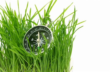 simsearch:400-05132684,k - Kompass im grünen Gras isoliert auf weißem Hintergrund Stockbilder - Microstock & Abonnement, Bildnummer: 400-04803621