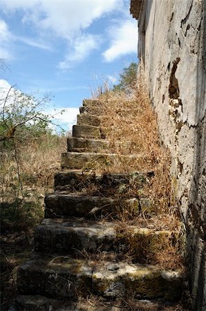simsearch:400-05352419,k - Grassed stone stairs of an abandoned house. Fotografie stock - Microstock e Abbonamento, Codice: 400-04814092