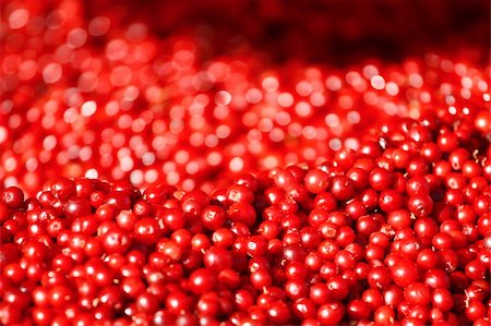 simsearch:400-05196174,k - Cranberries abstract natural full frame background Photographie de stock - Aubaine LD & Abonnement, Code: 400-04815727