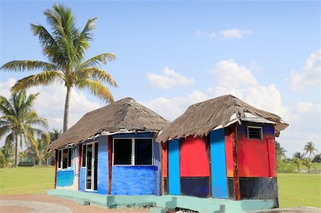 simsearch:400-08774047,k - hut palapa colorful with tropical cabin and  palm trees Stock Photo - Budget Royalty-Free & Subscription, Code: 400-04816267