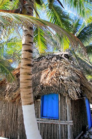 simsearch:400-08774047,k - beautiful coconut palm trees palapa hut beach Stock Photo - Budget Royalty-Free & Subscription, Code: 400-04816270