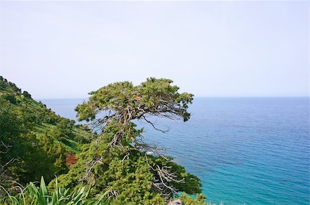 ruzanna (artist) - Akamas Peninsula in Cyprus, nature reserve. Fotografie stock - Microstock e Abbonamento, Codice: 400-04816398
