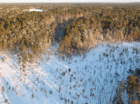 snowy forest scene birds eye view - Wild taiga in west Siberia. Aerial view. Frost in sunny day. White silence. Stock Photo - Budget Royalty-Free & Subscription, Code: 400-04816854